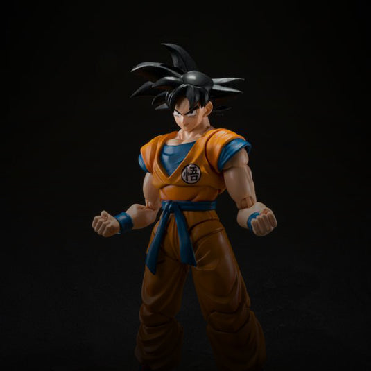 S.H. Figuarts