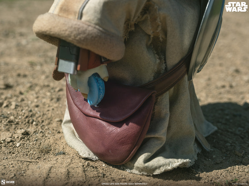 Load image into Gallery viewer, Sideshow - Star Wars: The Mandalorian &amp; Grogu - Life-SIze Grogu Acccessory Set
