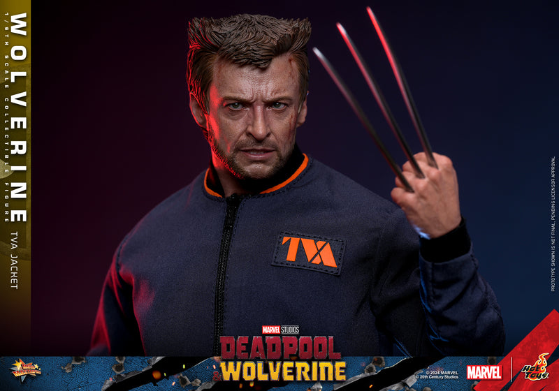 Load image into Gallery viewer, Hot Toys - Deadpool and Wolverine - Wolverine (TVA Jacket Version)
