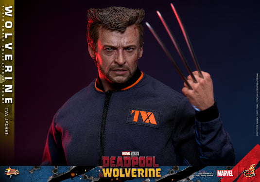 Hot Toys - Deadpool and Wolverine - Wolverine (TVA Jacket Version)