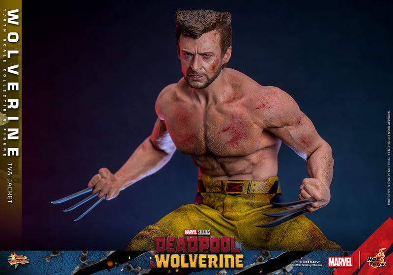 Load image into Gallery viewer, Hot Toys - Deadpool and Wolverine - Wolverine (TVA Jacket Version)
