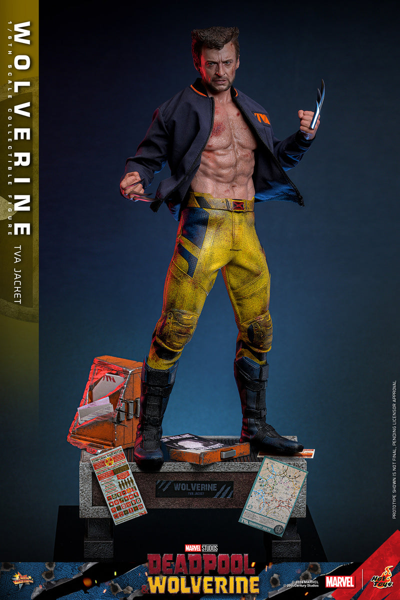 Load image into Gallery viewer, Hot Toys - Deadpool and Wolverine - Wolverine (TVA Jacket Version)
