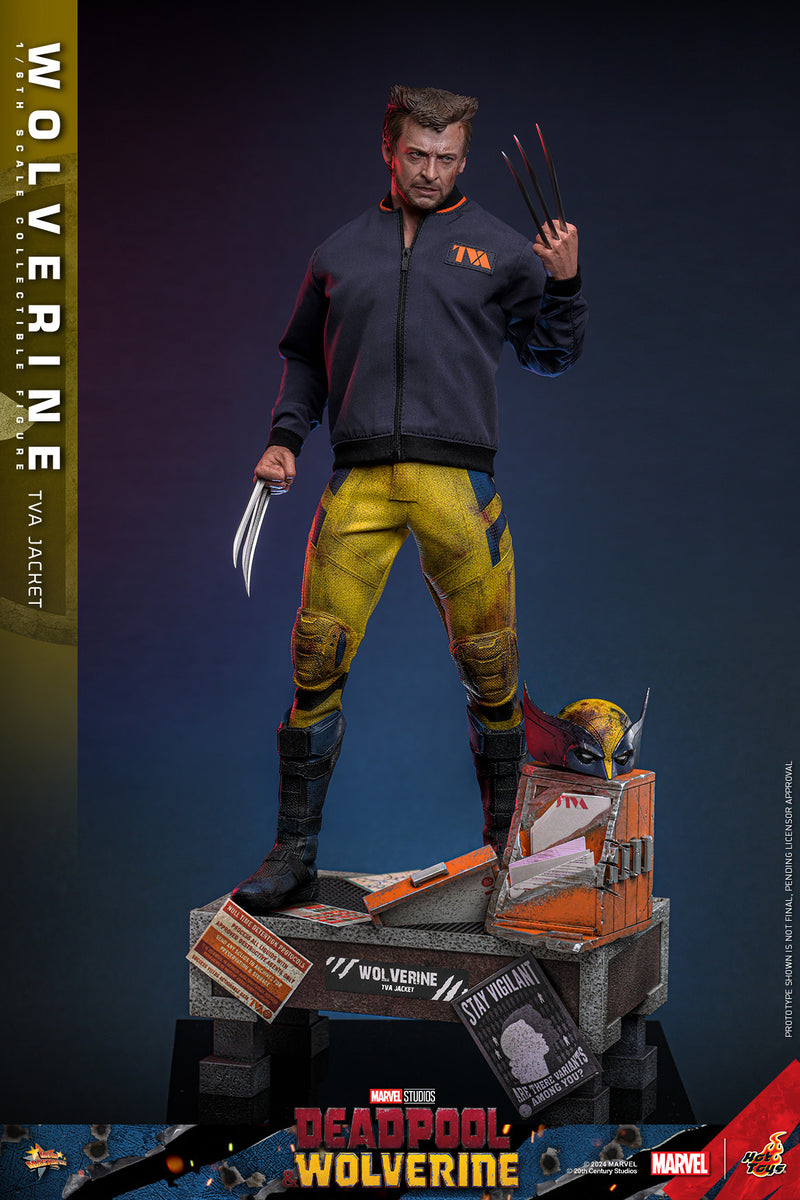 Load image into Gallery viewer, Hot Toys - Deadpool and Wolverine - Wolverine (TVA Jacket Version)
