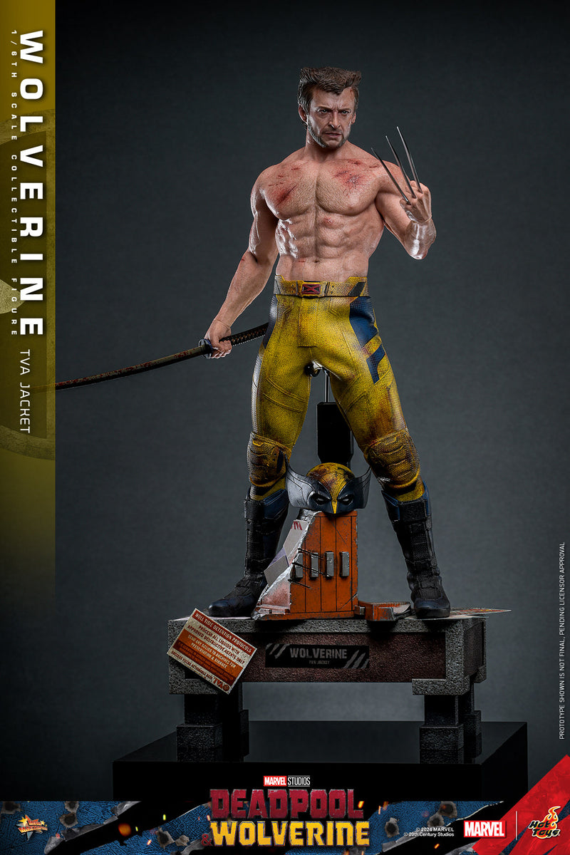 Load image into Gallery viewer, Hot Toys - Deadpool and Wolverine - Wolverine (TVA Jacket Version)
