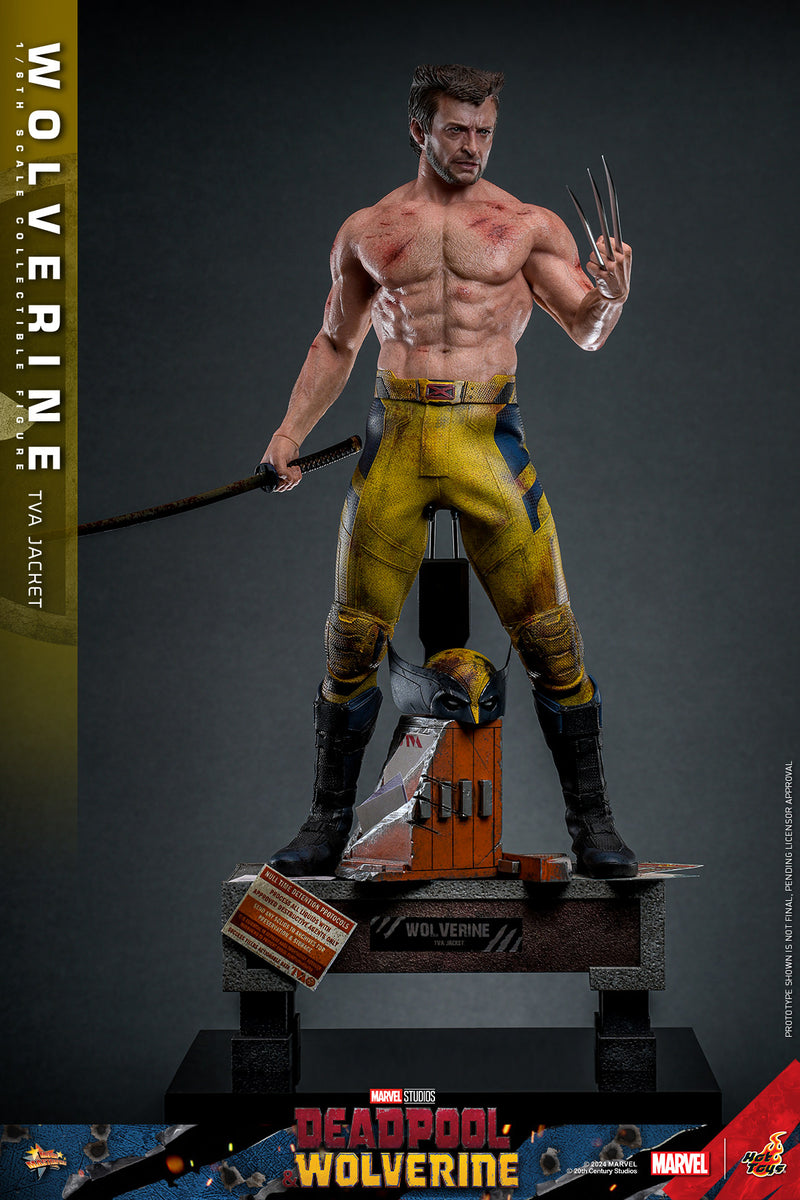 Load image into Gallery viewer, Hot Toys - Deadpool and Wolverine - Wolverine (TVA Jacket Version)
