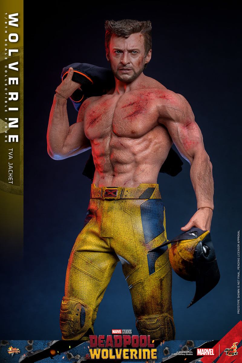Load image into Gallery viewer, Hot Toys - Deadpool and Wolverine - Wolverine (TVA Jacket Version)
