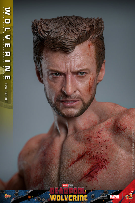 Hot Toys - Deadpool and Wolverine - Wolverine (TVA Jacket Version)