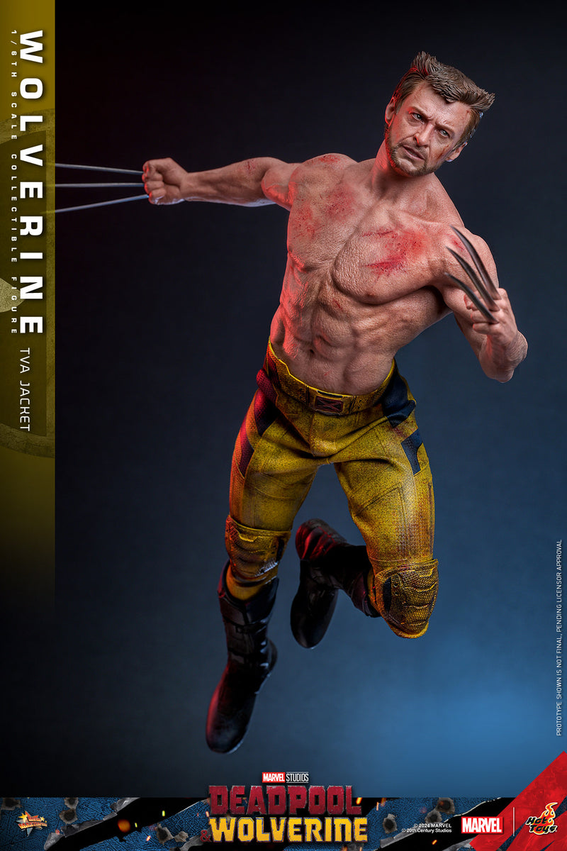 Load image into Gallery viewer, Hot Toys - Deadpool and Wolverine - Wolverine (TVA Jacket Version)
