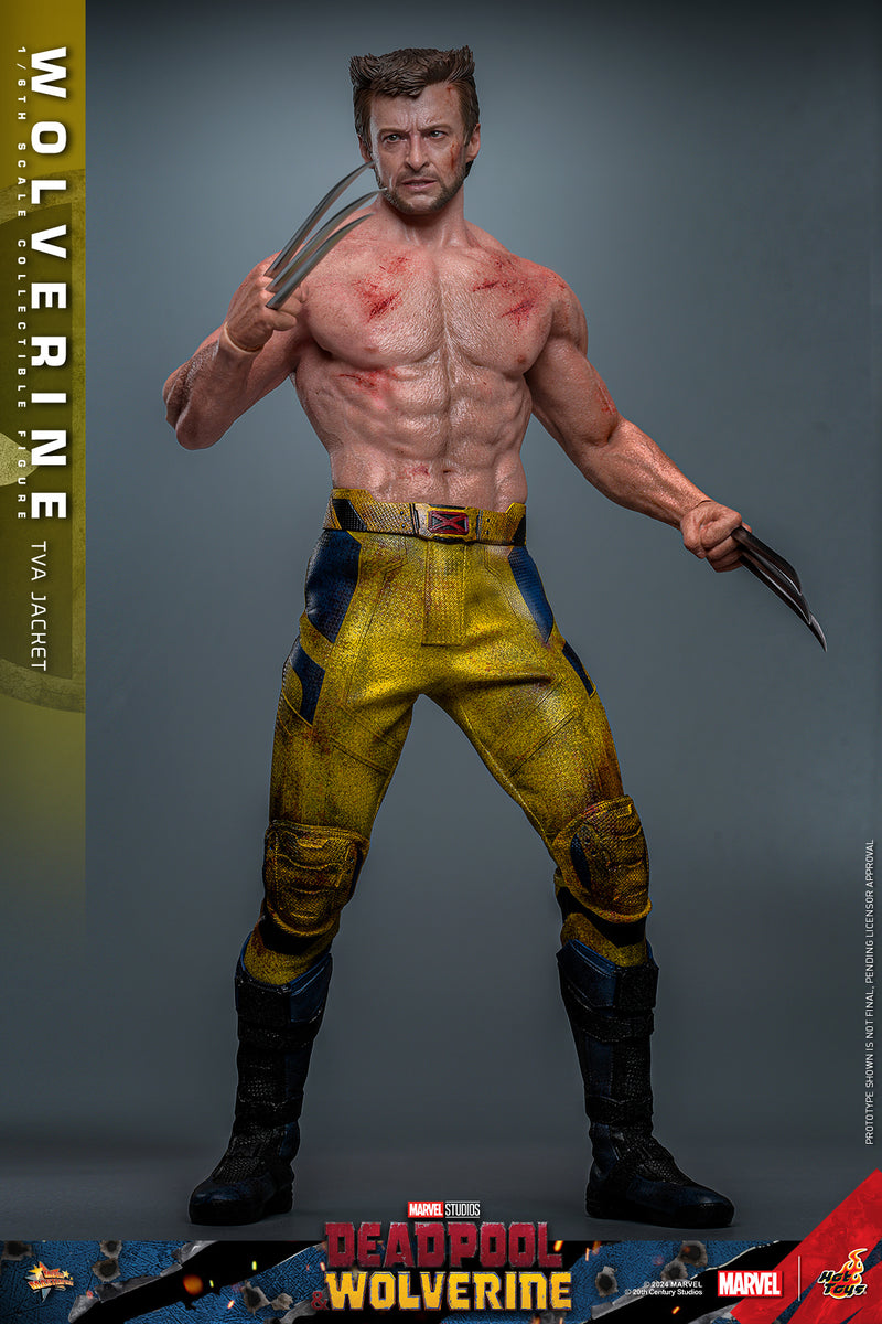 Load image into Gallery viewer, Hot Toys - Deadpool and Wolverine - Wolverine (TVA Jacket Version)
