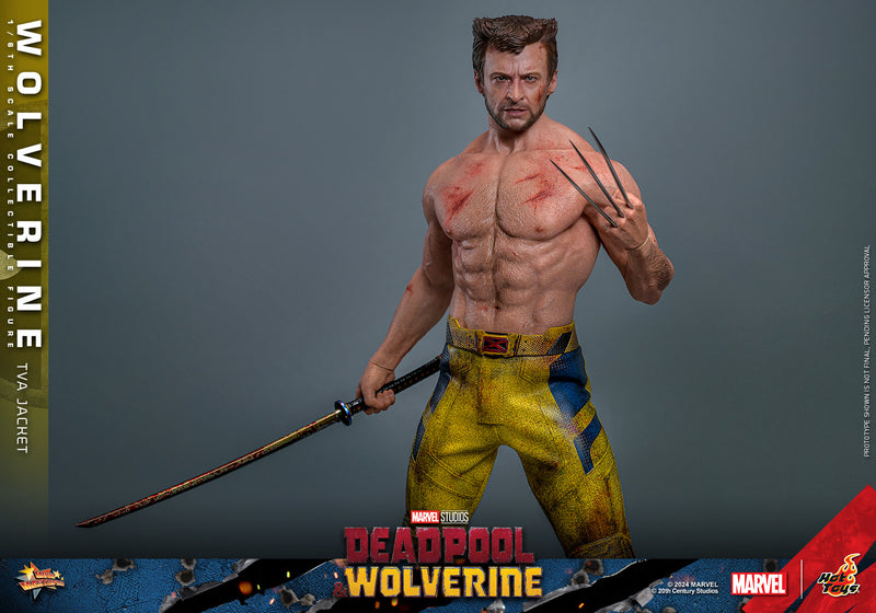 Load image into Gallery viewer, Hot Toys - Deadpool and Wolverine - Wolverine (TVA Jacket Version)

