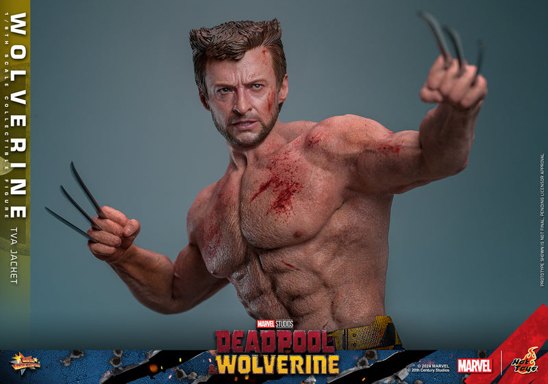 Load image into Gallery viewer, Hot Toys - Deadpool and Wolverine - Wolverine (TVA Jacket Version)
