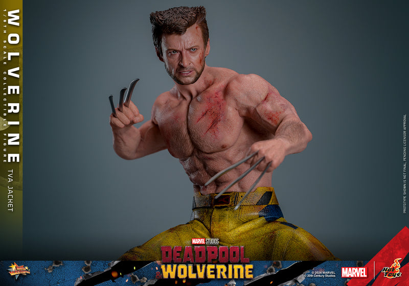 Load image into Gallery viewer, Hot Toys - Deadpool and Wolverine - Wolverine (TVA Jacket Version)
