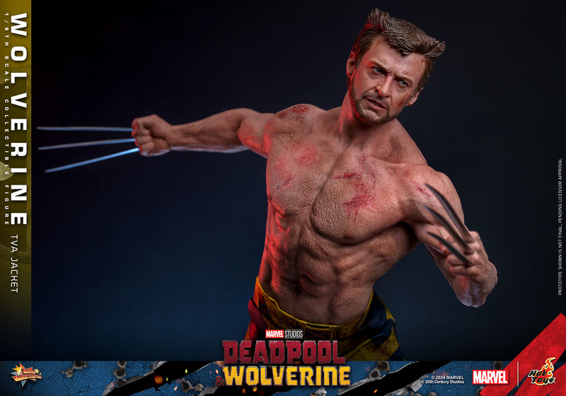 Load image into Gallery viewer, Hot Toys - Deadpool and Wolverine - Wolverine (TVA Jacket Version)
