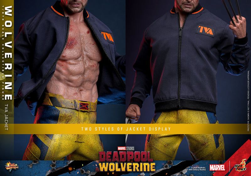Load image into Gallery viewer, Hot Toys - Deadpool and Wolverine - Wolverine (TVA Jacket Version)
