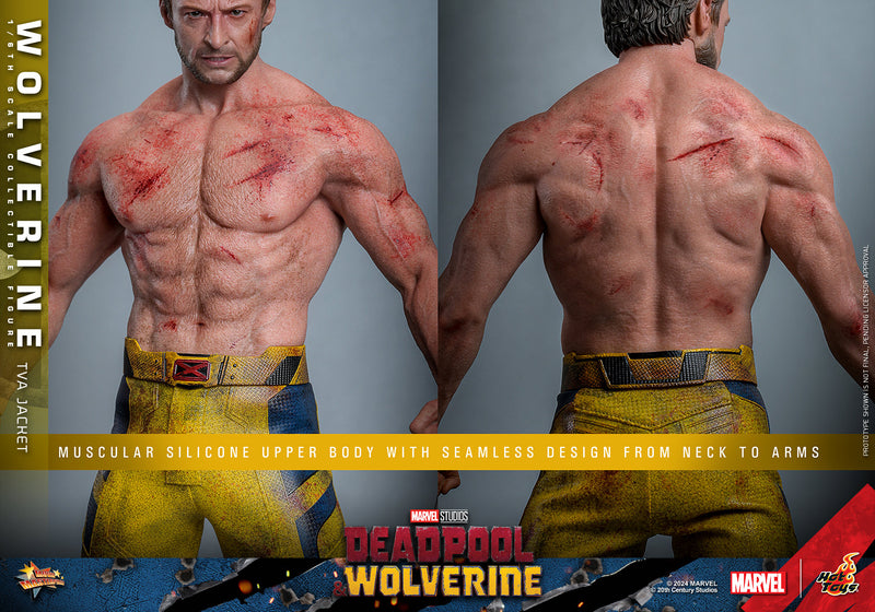 Load image into Gallery viewer, Hot Toys - Deadpool and Wolverine - Wolverine (TVA Jacket Version)
