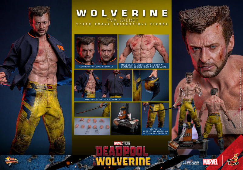 Load image into Gallery viewer, Hot Toys - Deadpool and Wolverine - Wolverine (TVA Jacket Version)

