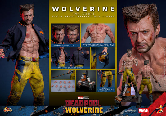 Hot Toys - Deadpool and Wolverine - Wolverine (TVA Jacket Version)