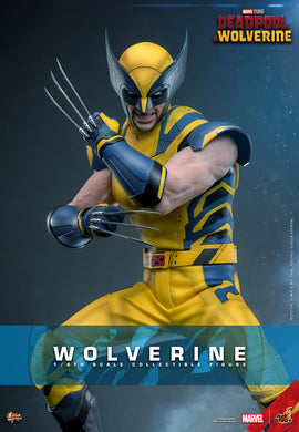 Hot Toys - Deadpool and Wolverine - Wolverine