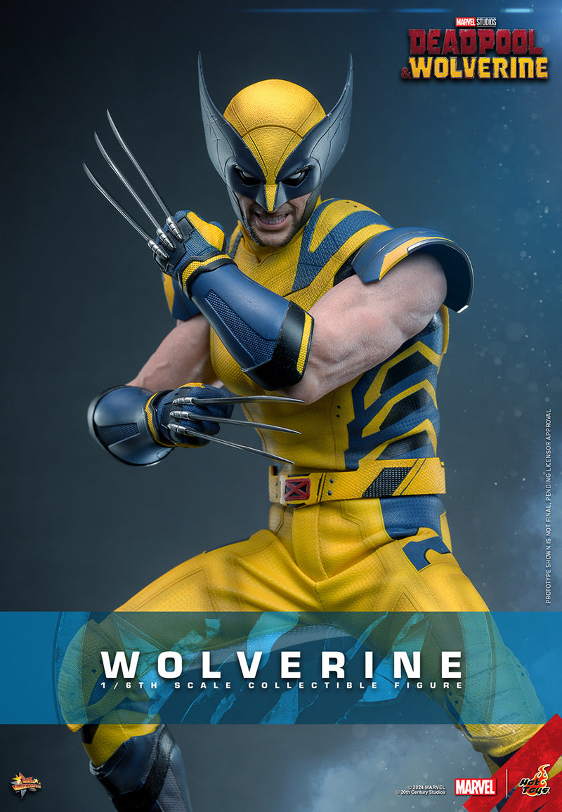 Load image into Gallery viewer, Hot Toys - Deadpool and Wolverine - Wolverine
