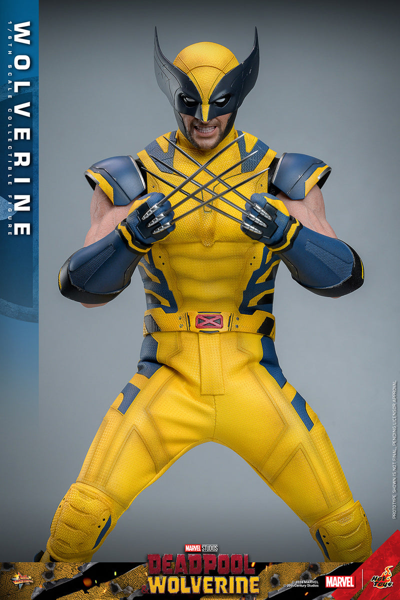 Load image into Gallery viewer, Hot Toys - Deadpool and Wolverine - Wolverine
