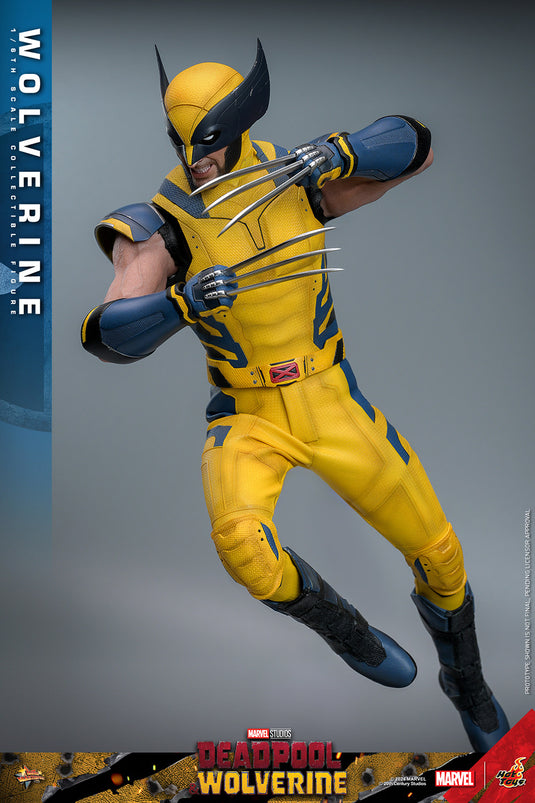 Hot Toys - Deadpool and Wolverine - Wolverine