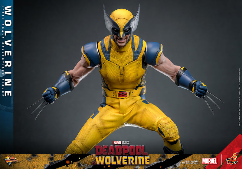 Load image into Gallery viewer, Hot Toys - Deadpool and Wolverine - Wolverine
