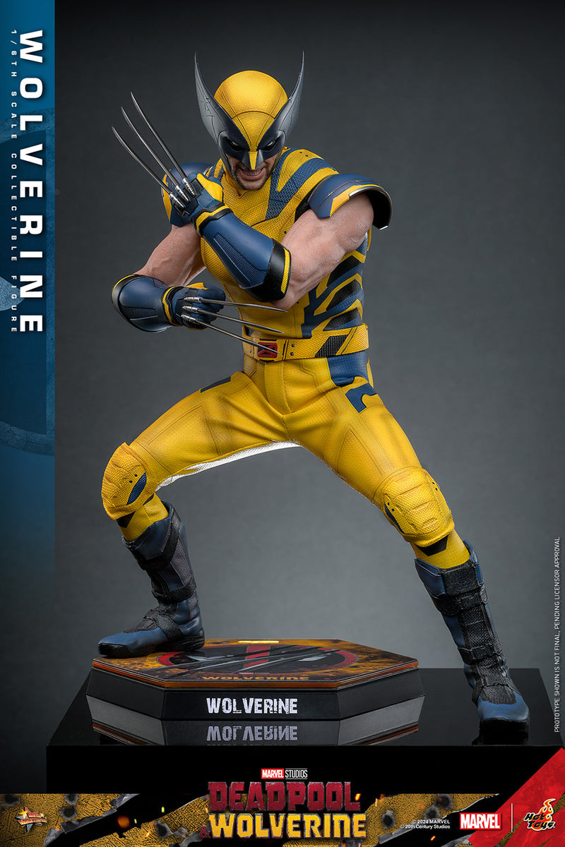 Load image into Gallery viewer, Hot Toys - Deadpool and Wolverine - Wolverine
