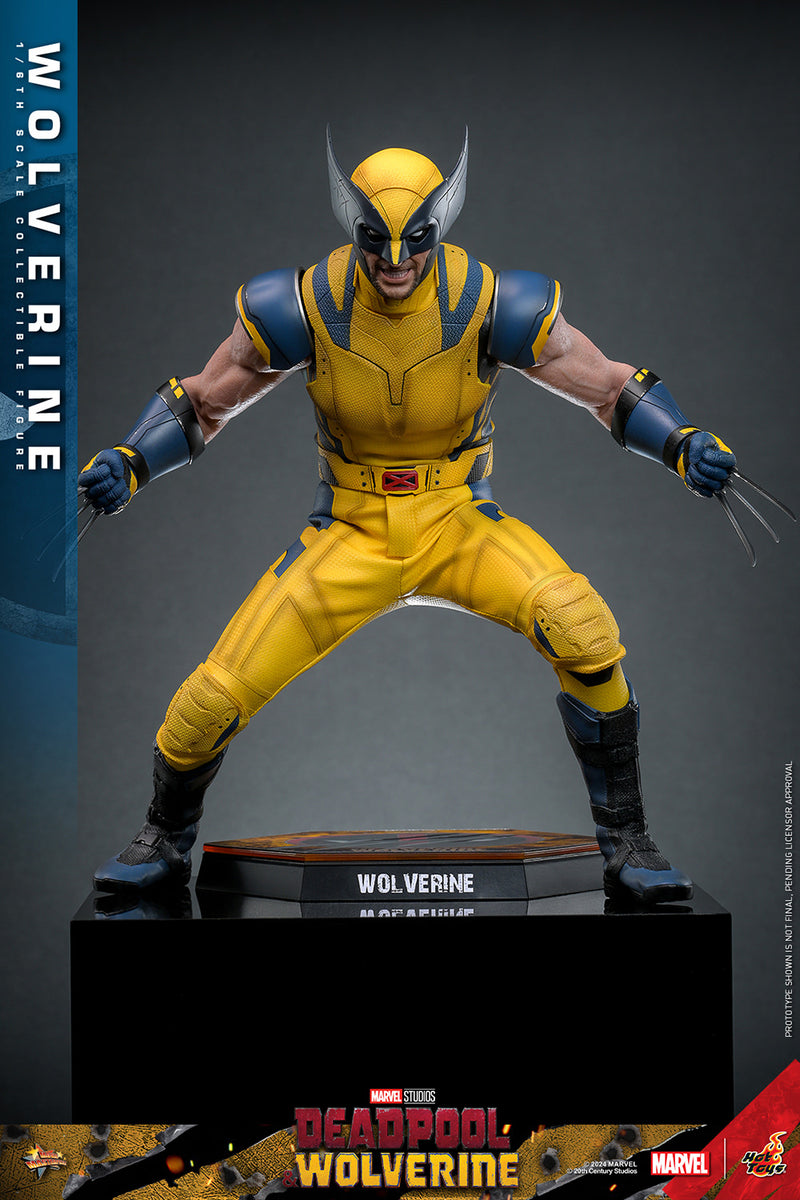 Load image into Gallery viewer, Hot Toys - Deadpool and Wolverine - Wolverine
