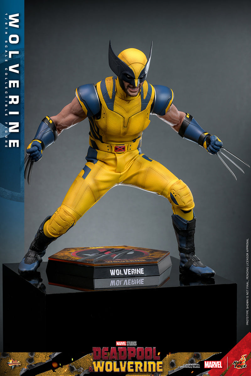 Load image into Gallery viewer, Hot Toys - Deadpool and Wolverine - Wolverine
