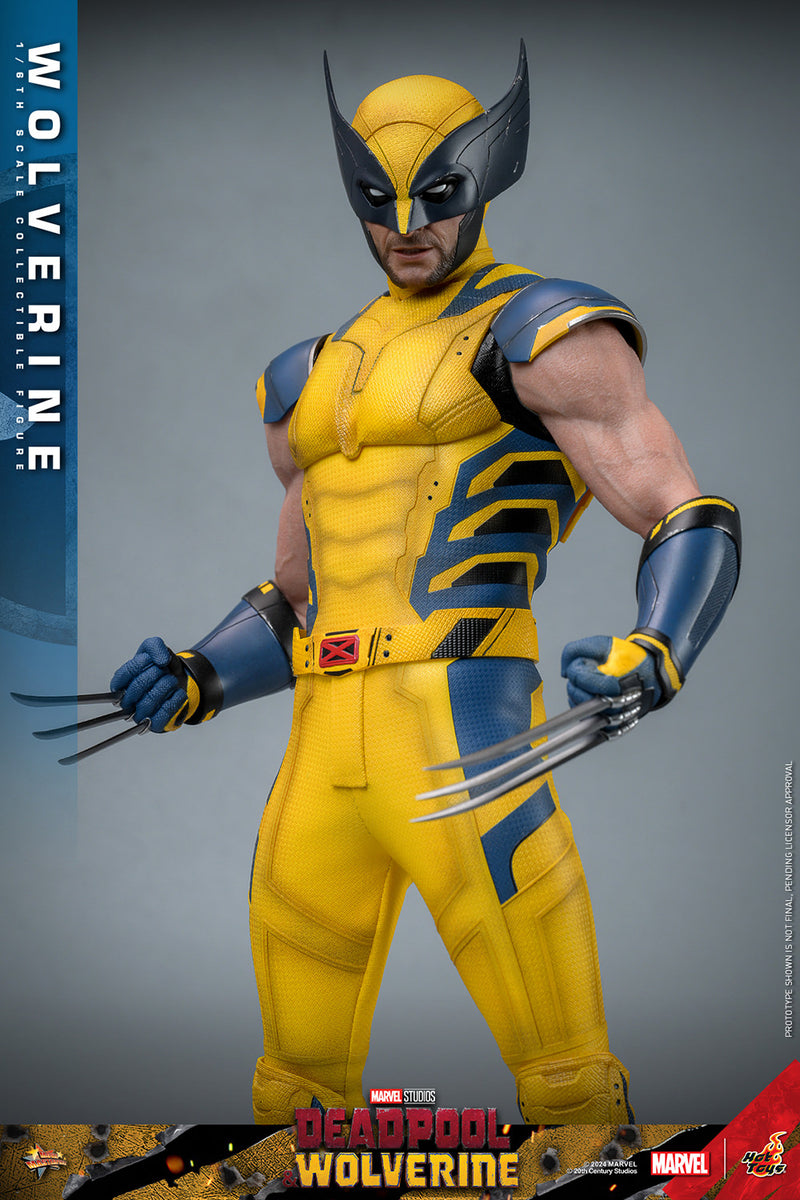 Load image into Gallery viewer, Hot Toys - Deadpool and Wolverine - Wolverine
