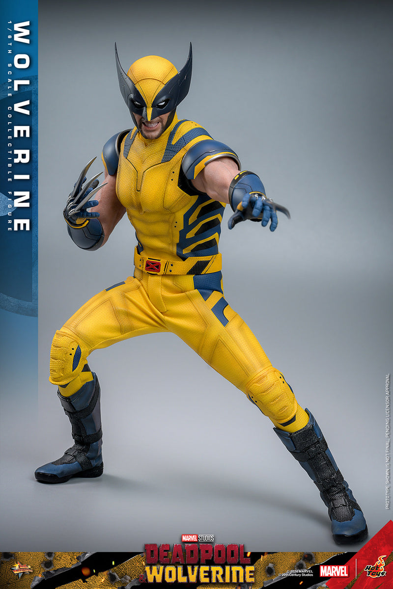 Load image into Gallery viewer, Hot Toys - Deadpool and Wolverine - Wolverine
