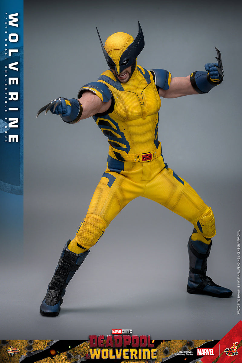 Load image into Gallery viewer, Hot Toys - Deadpool and Wolverine - Wolverine
