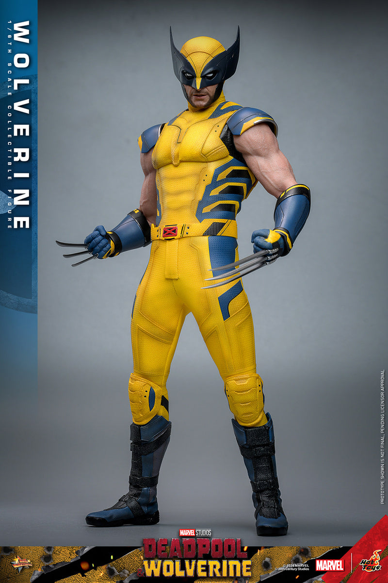 Load image into Gallery viewer, Hot Toys - Deadpool and Wolverine - Wolverine
