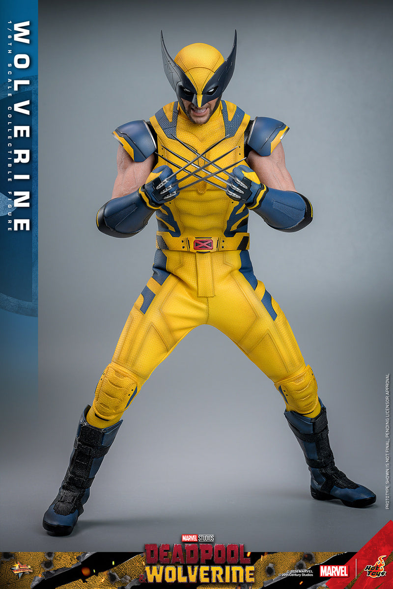 Load image into Gallery viewer, Hot Toys - Deadpool and Wolverine - Wolverine
