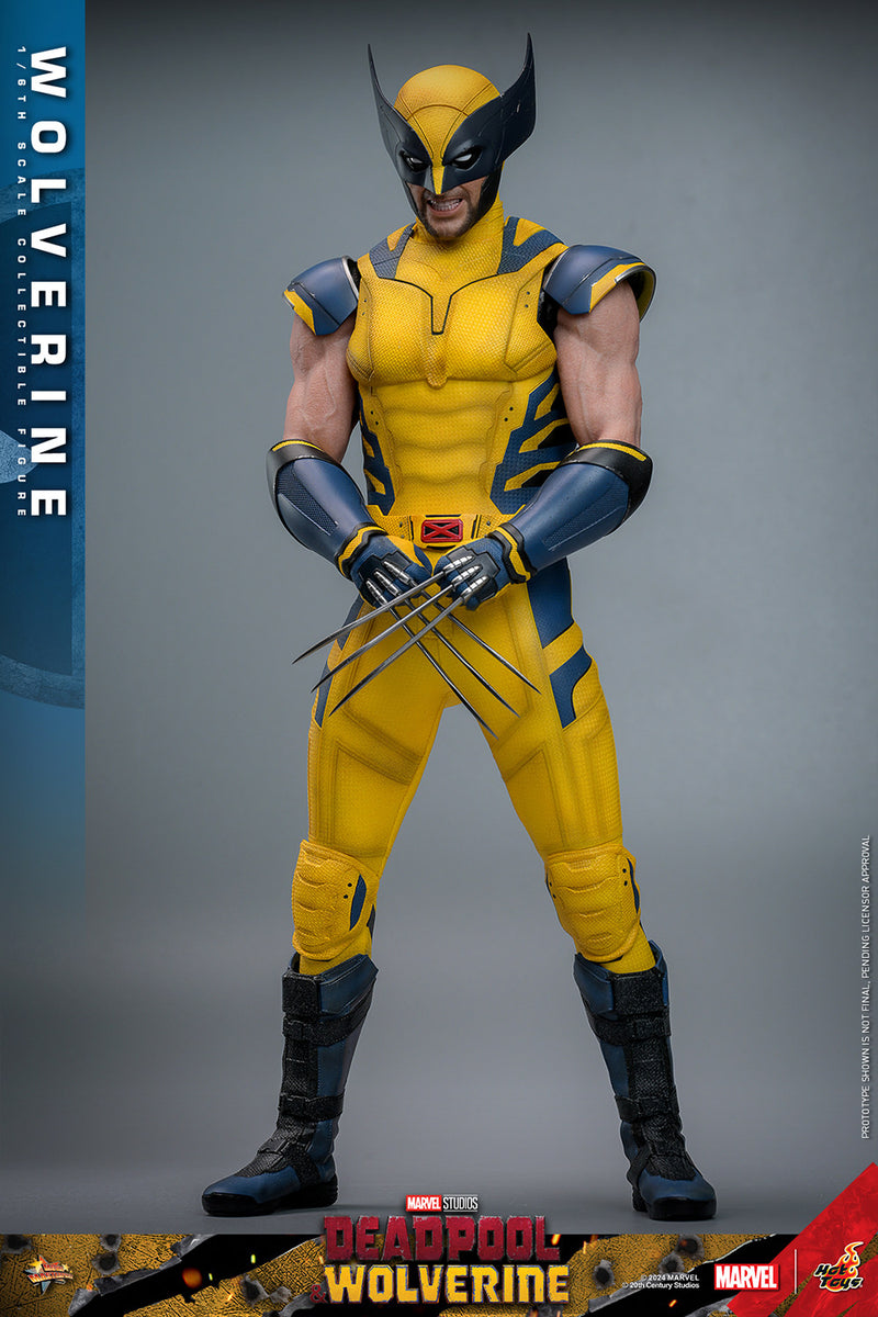 Load image into Gallery viewer, Hot Toys - Deadpool and Wolverine - Wolverine
