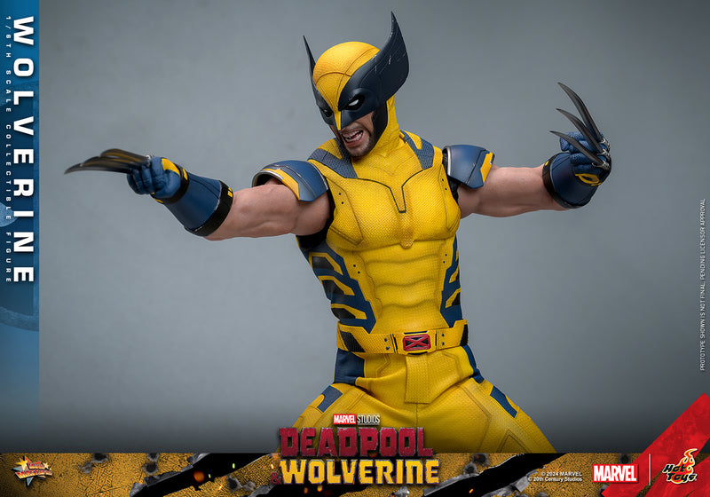 Load image into Gallery viewer, Hot Toys - Deadpool and Wolverine - Wolverine
