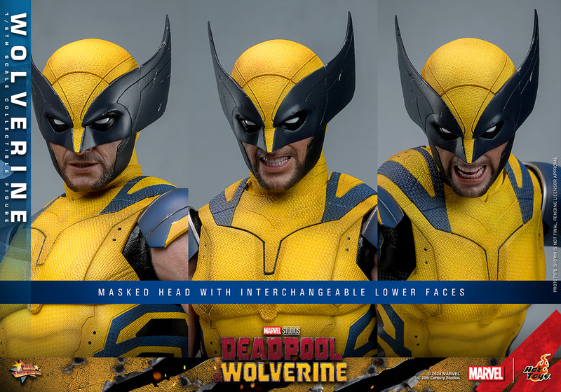 Load image into Gallery viewer, Hot Toys - Deadpool and Wolverine - Wolverine
