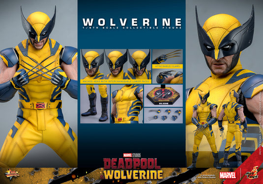 Hot Toys - Deadpool and Wolverine - Wolverine