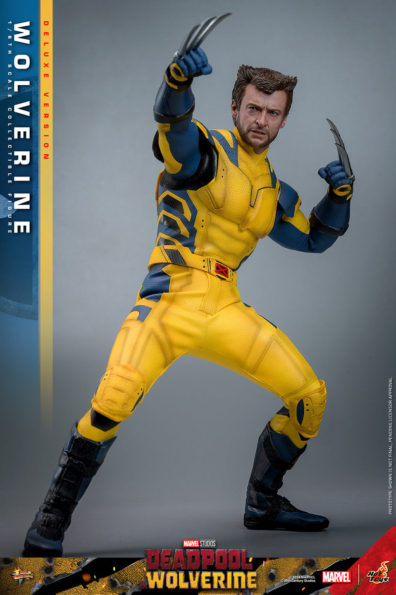 Load image into Gallery viewer, Hot Toys - Deadpool and Wolverine - Wolverine (Deluxe)
