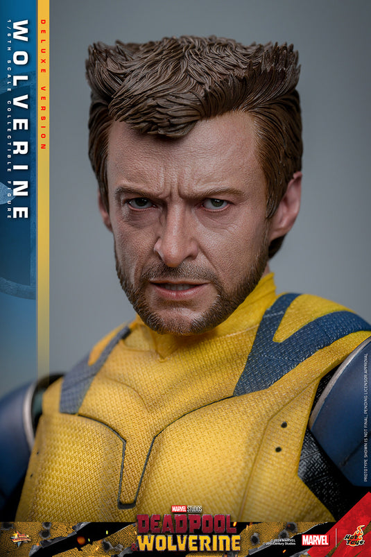 Hot Toys - Deadpool and Wolverine - Wolverine (Deluxe)