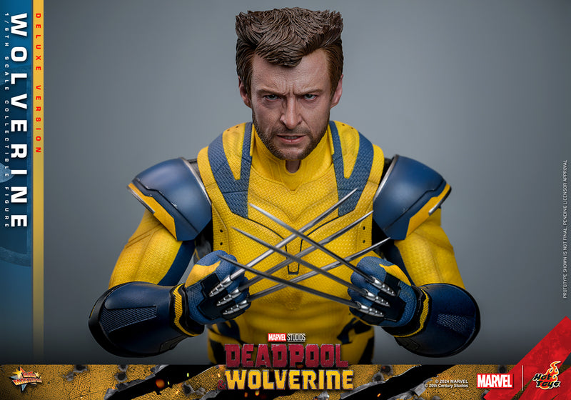 Load image into Gallery viewer, Hot Toys - Deadpool and Wolverine - Wolverine (Deluxe)
