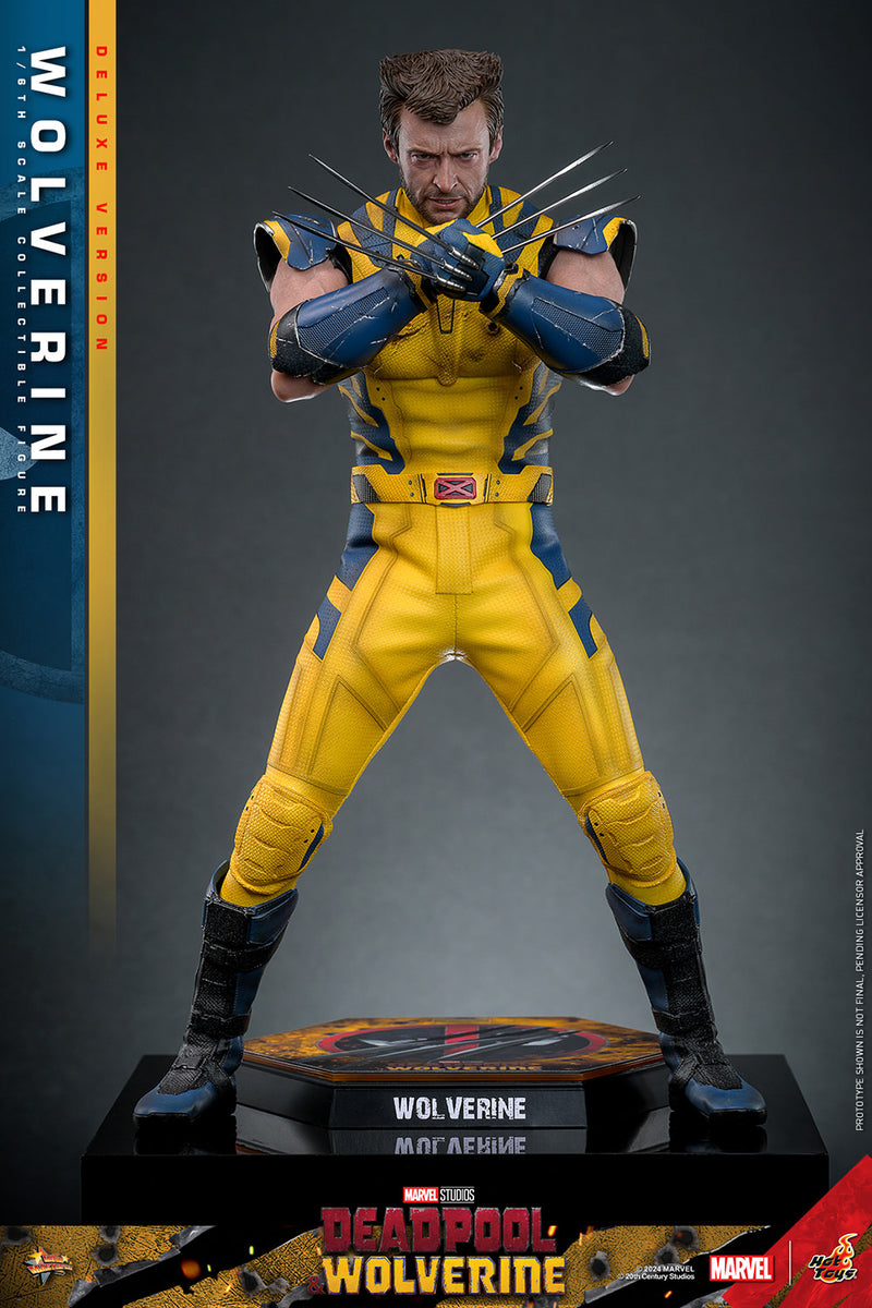 Load image into Gallery viewer, Hot Toys - Deadpool and Wolverine - Wolverine (Deluxe)

