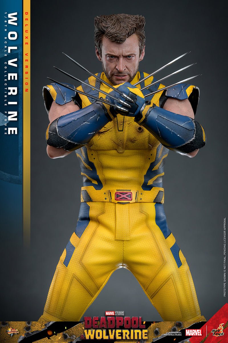 Load image into Gallery viewer, Hot Toys - Deadpool and Wolverine - Wolverine (Deluxe)
