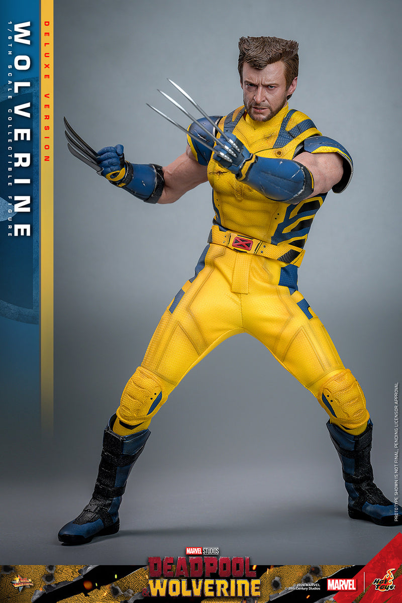 Load image into Gallery viewer, Hot Toys - Deadpool and Wolverine - Wolverine (Deluxe)
