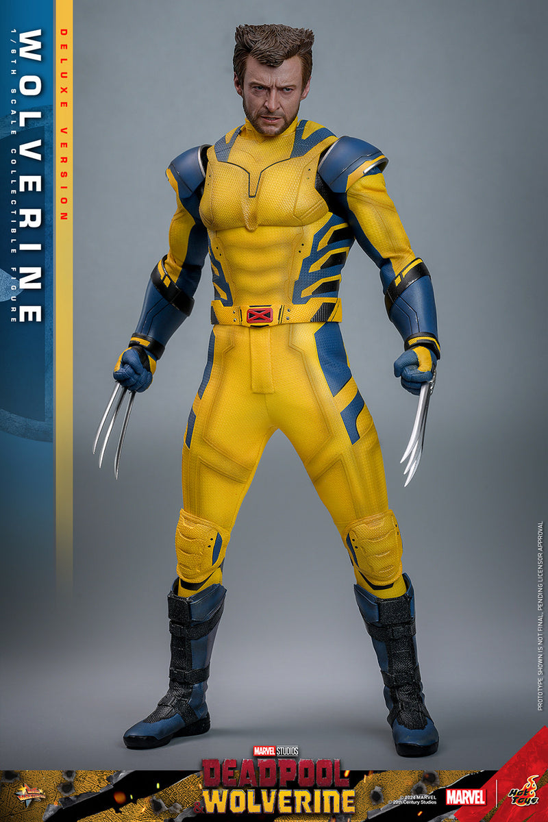 Load image into Gallery viewer, Hot Toys - Deadpool and Wolverine - Wolverine (Deluxe)
