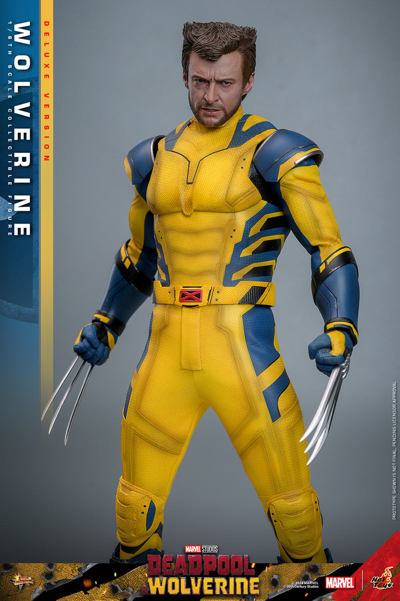 Load image into Gallery viewer, Hot Toys - Deadpool and Wolverine - Wolverine (Deluxe)
