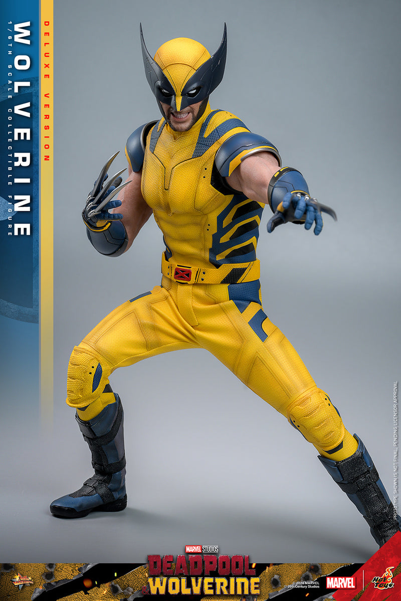 Load image into Gallery viewer, Hot Toys - Deadpool and Wolverine - Wolverine (Deluxe)
