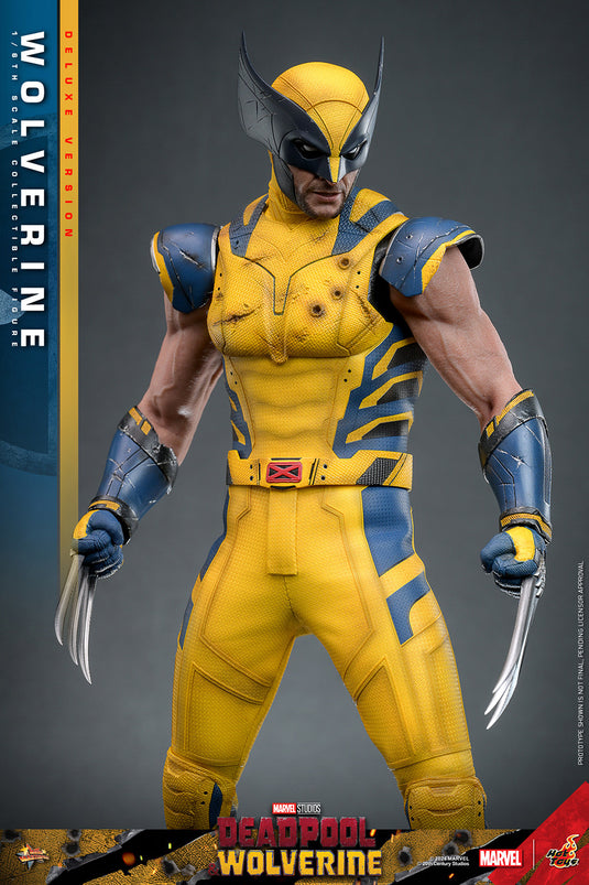 Hot Toys - Deadpool and Wolverine - Wolverine (Deluxe)