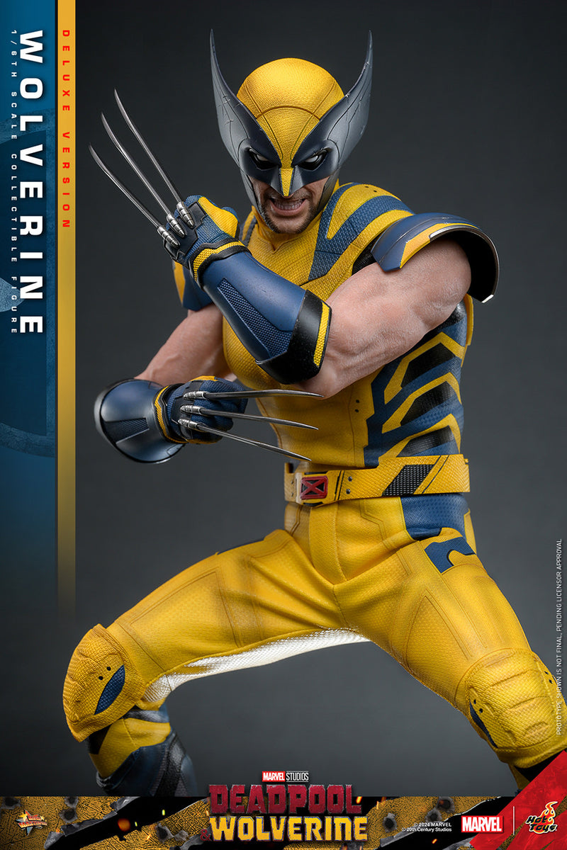 Load image into Gallery viewer, Hot Toys - Deadpool and Wolverine - Wolverine (Deluxe)
