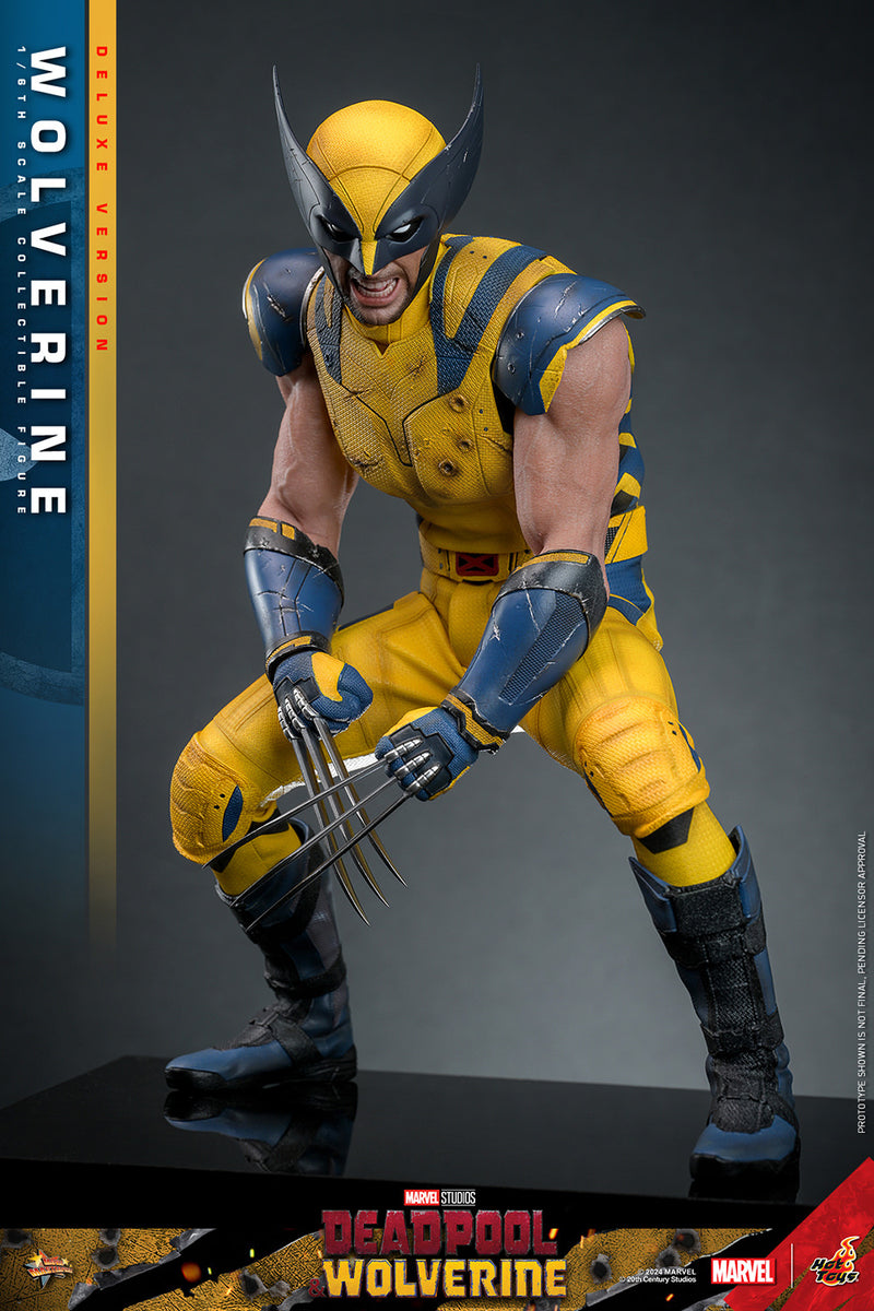 Load image into Gallery viewer, Hot Toys - Deadpool and Wolverine - Wolverine (Deluxe)
